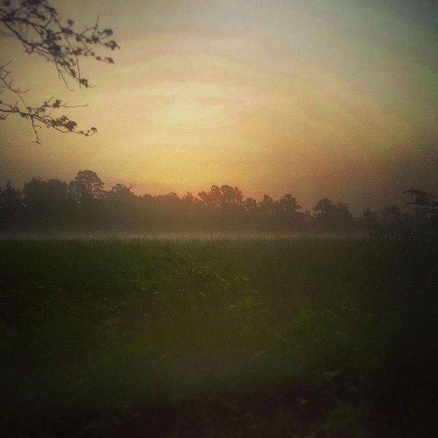 Newday Photograph - Rise & Shine! #sunrise #morning #fog by Brandy Meza