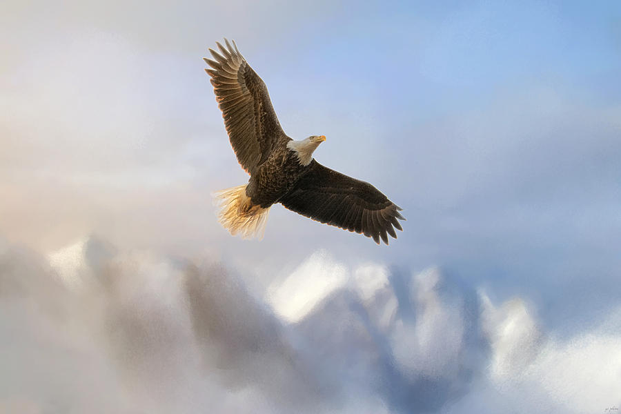 Eagle Photograph - Rise Above by Jai Johnson