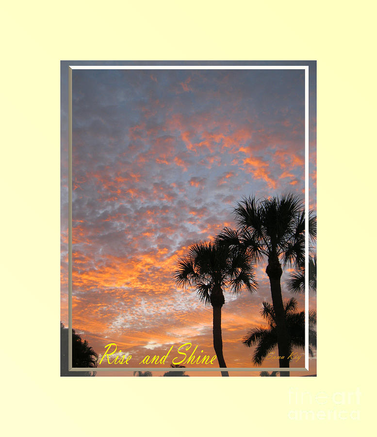 Rise and Shine. Sunrise in  Florida. Fort Myers. USA  Photograph by Oksana Semenchenko