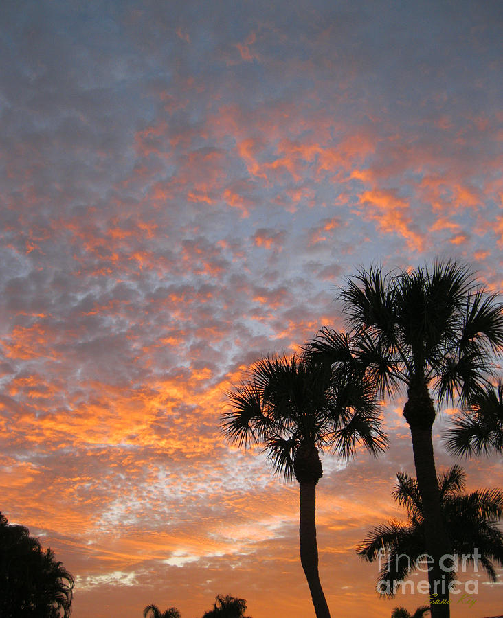 Rise and Shine. Florida. Morning Sky View Photograph by Oksana Semenchenko