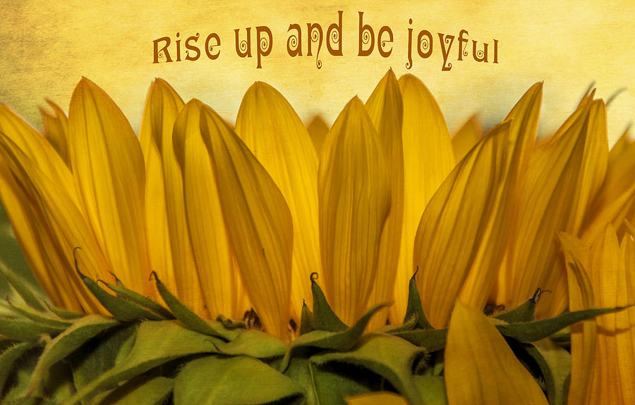 Rise Up Photograph by Cathy Kovarik Rise Up Photograph by Cathy Kovarik