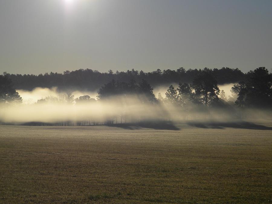 Nature Digital Art - Rising Field Of Fog by Matthew Seufer