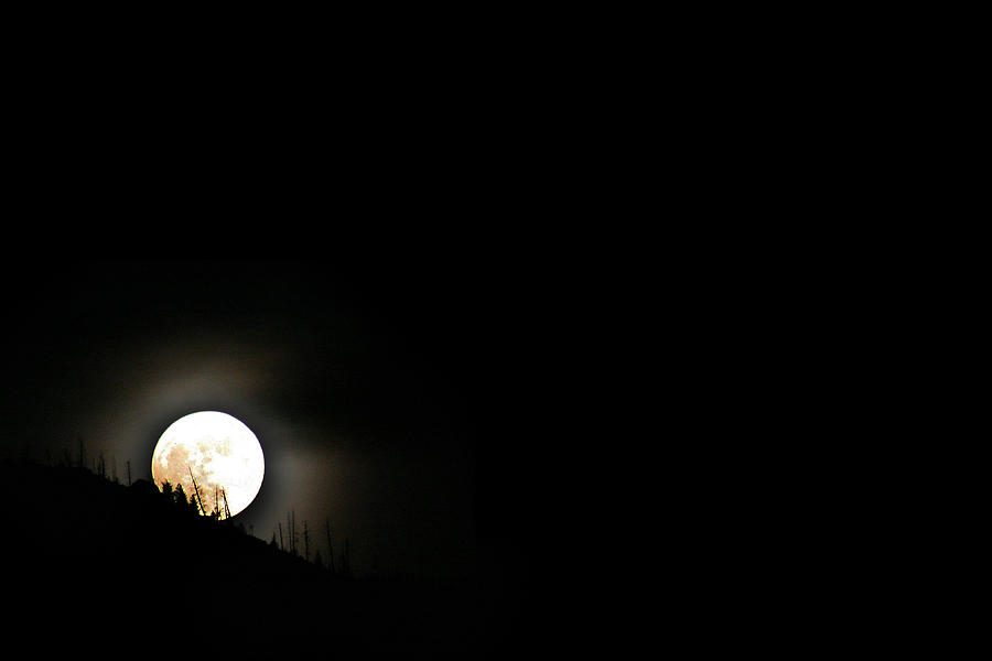 Rising Moon Photograph by Joel Loftus