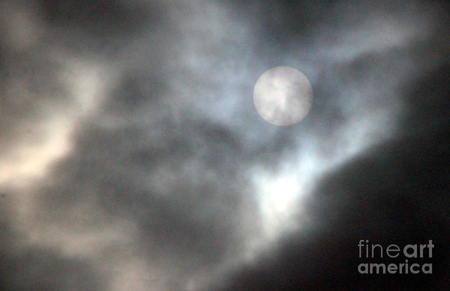 Rising Moon Photograph by Margaret Hamilton