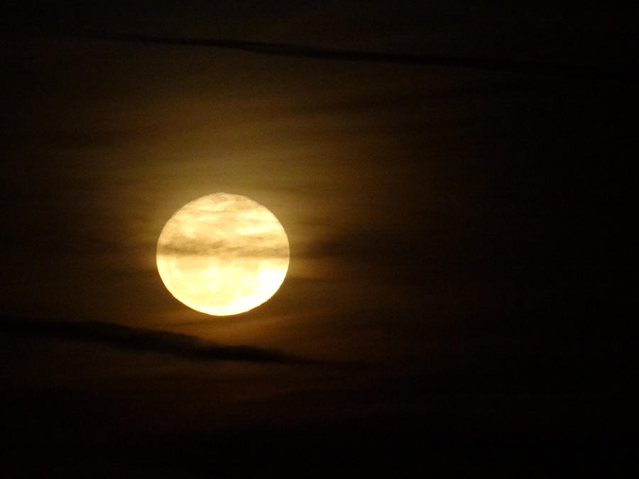 Rising Moon Photograph by Tom DiFrancesca