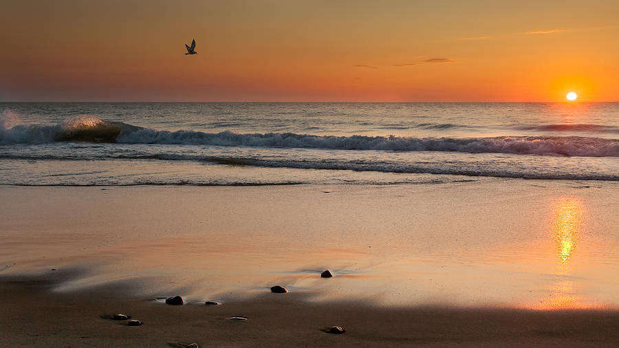 Beach Photograph - Rising Sun by Bill Wakeley