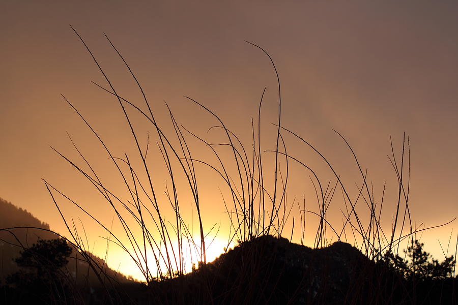 Rising Sun Photograph by Shane Bechler