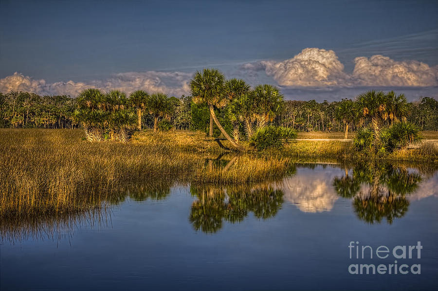 Sunset Photograph - Rising Tide by Marvin Spates