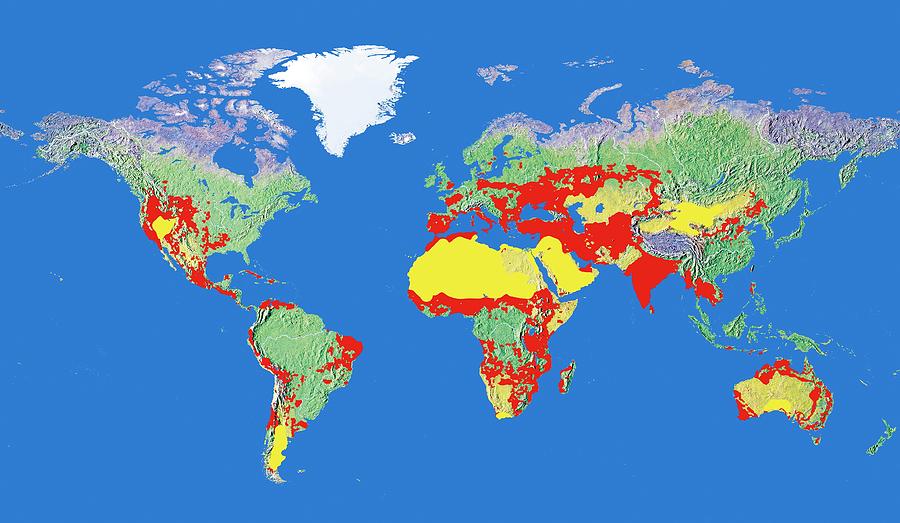 Risk Of Human-induced Desertification Photograph by Claus Lunau/science ...