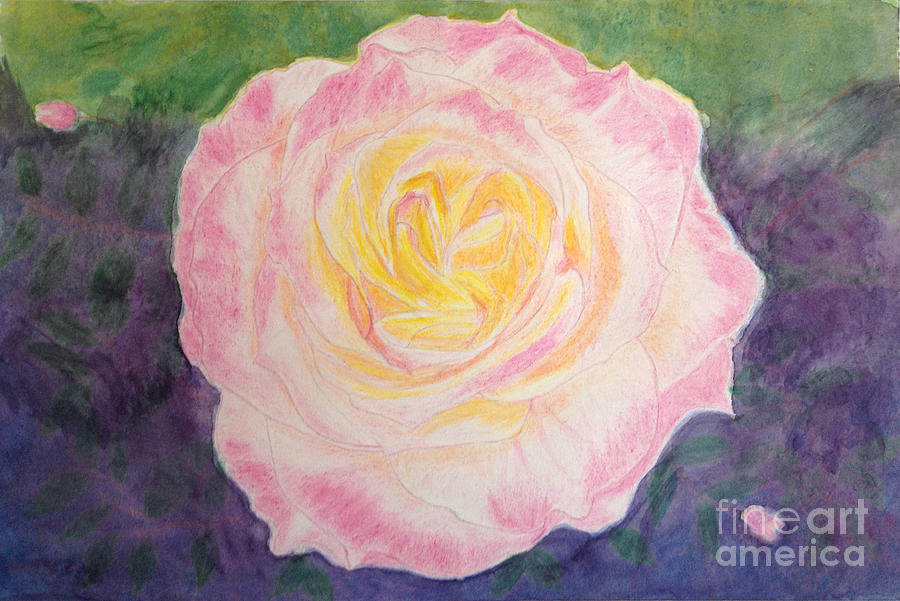 Ritzy Rose In Watercolor Pencil Drawing