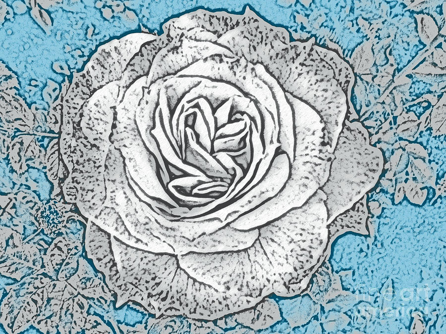 Ritzy Rose with Ink and Blue Background Photograph by Conni Schaftenaar
