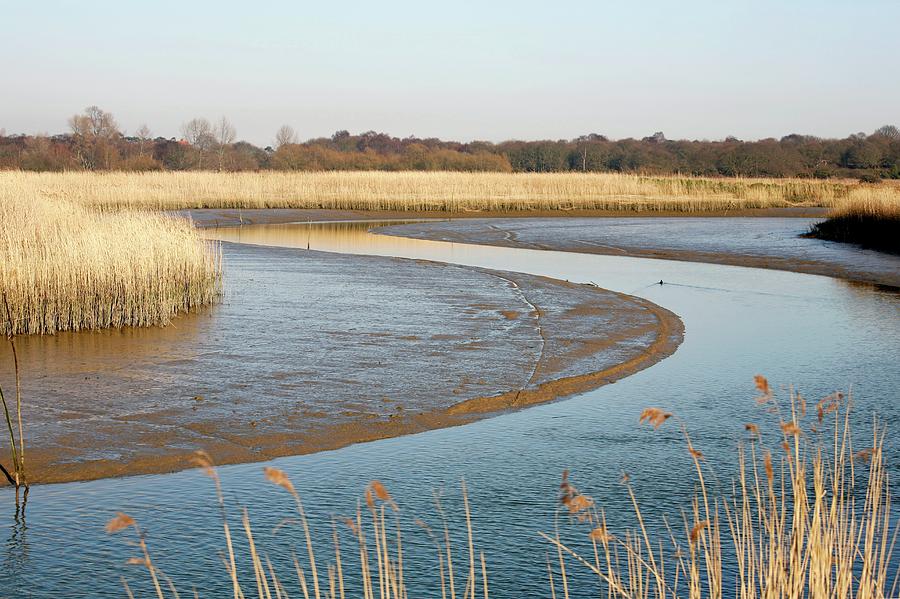 River Alde Photograph by Peter Falkner/science Photo Library