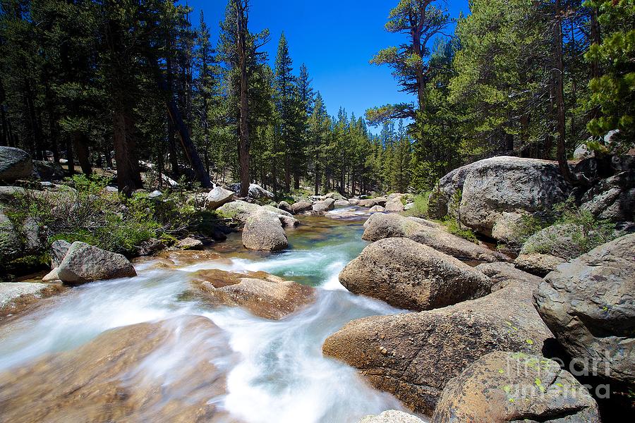 River at Yosemite Photograph by Mel Ashar
