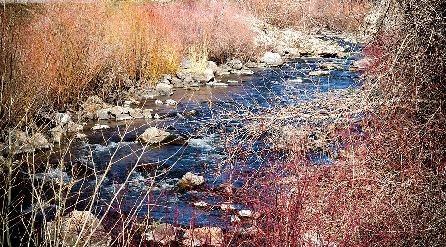 River Autumn Colors Photograph