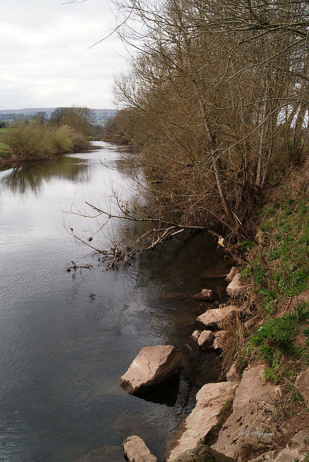 River bank Photograph by Alan Morgan | Fine Art America