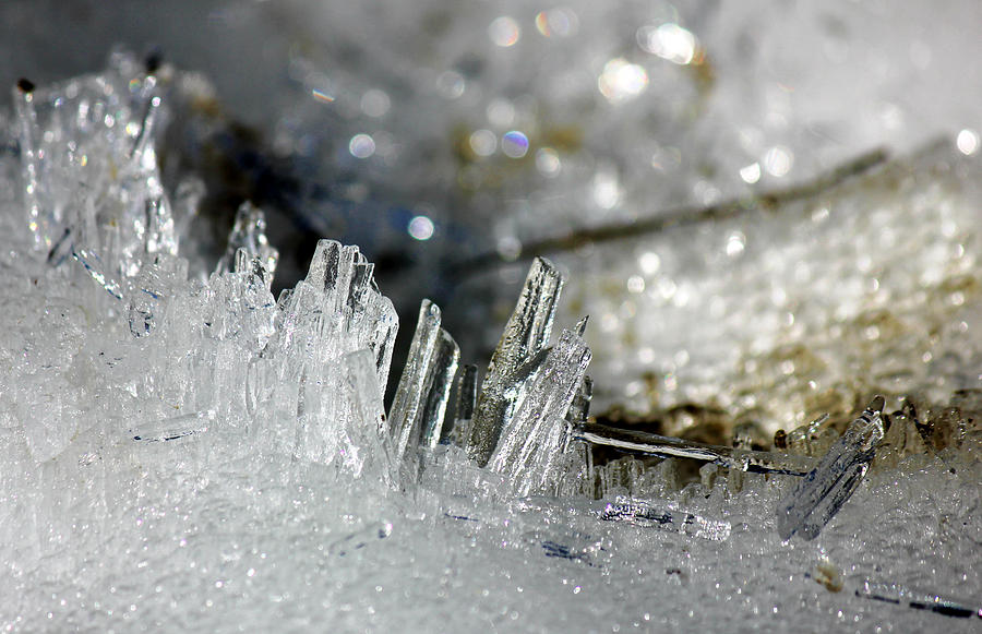 River Crystals Photograph by Connie Zarn - Fine Art America