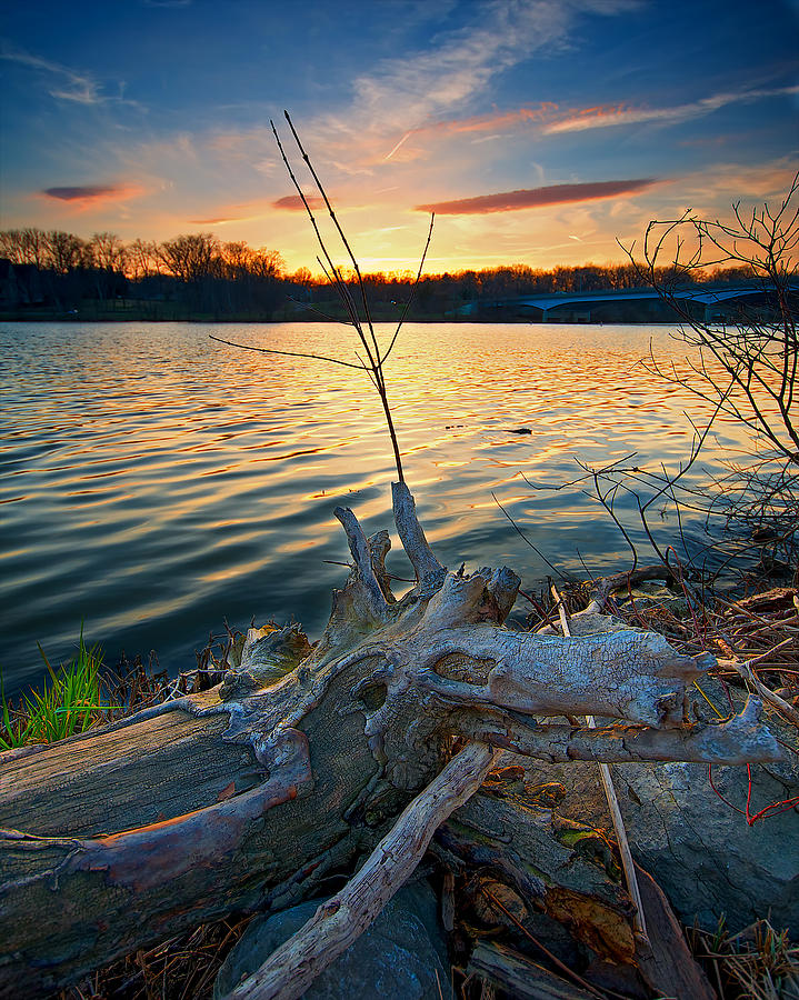 River driftwood Ohio sunset Photograph by Berkehaus Photography - Fine ...