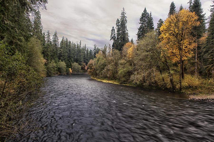 River Flow in the Fall Photograph by Belinda Greb