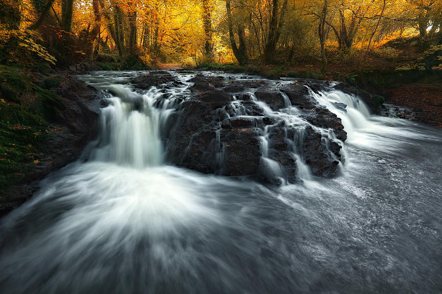 River Flowing Over Rocks In Forest Photograph by Mariuskasteckas
