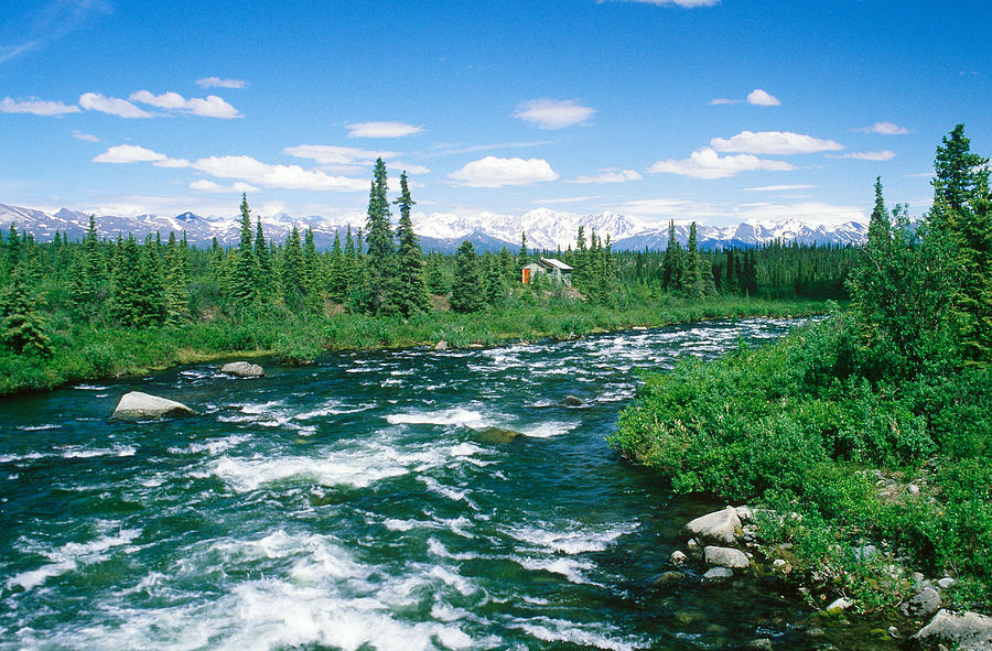 River Flowing Through The Alaskan Photograph by Charlie Ott