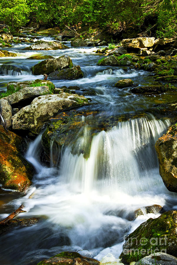River Flowing Through Woods Photograph