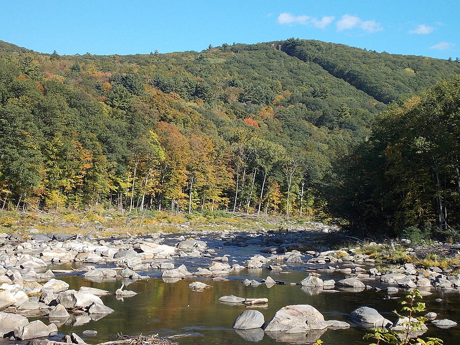 River Foliage in Shelburne Falls 1 Photograph by Nina Kindred