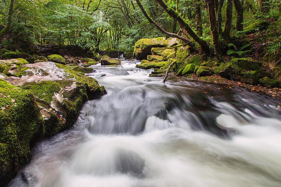 River Fowey flowing Photograph by Stuart Gennery - Fine Art America