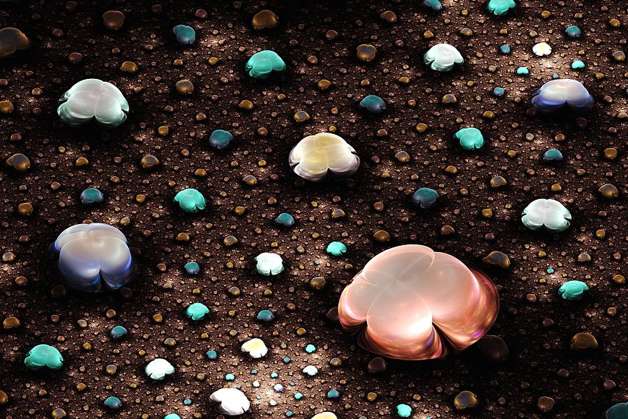 Pebbles Digital Art - River Gems by Anastasiya Malakhova