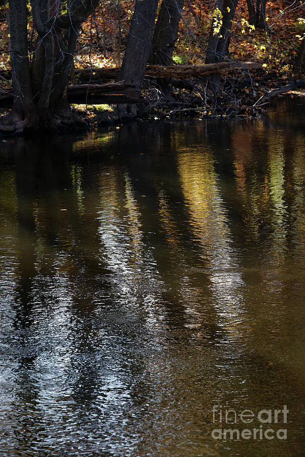 River Gold Photograph by Linda Shafer