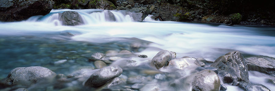Fiordland National Park Photograph - River, Hollyford River, Fiordland by Panoramic Images