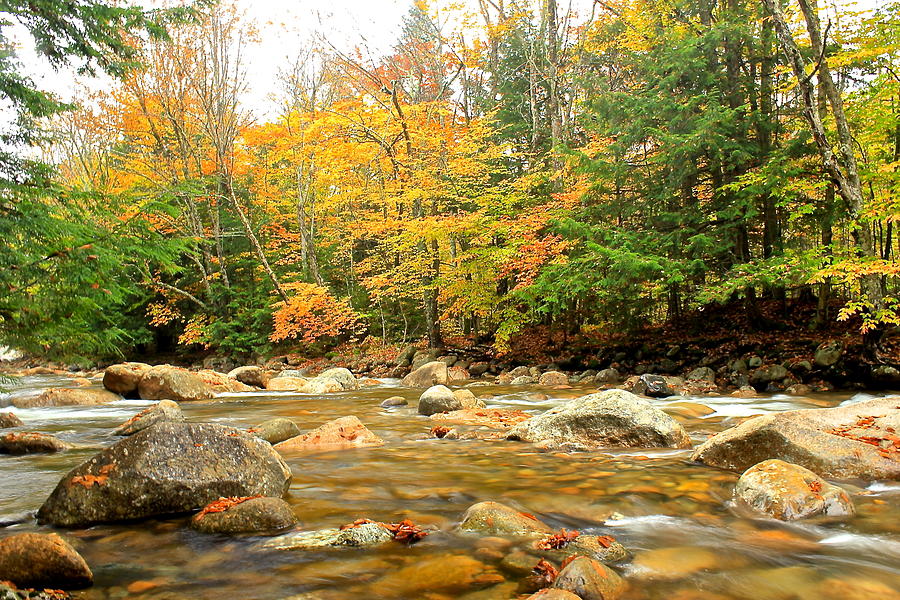 River in Fall Colors Photograph by Amazing Jules