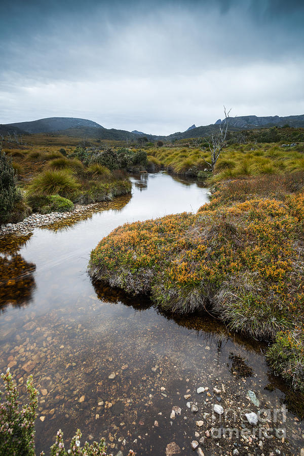 Nature Photograph - River in the wilderness Tasmania Australia by Matteo Colombo