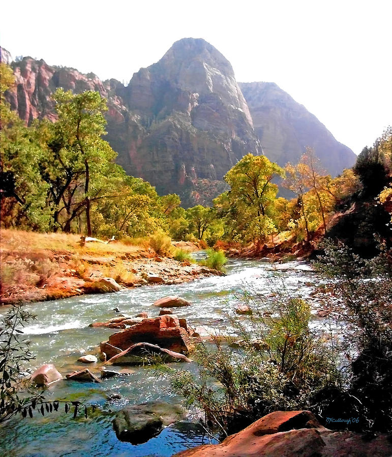 River in Zion National Park Photograph by Duane McCullough