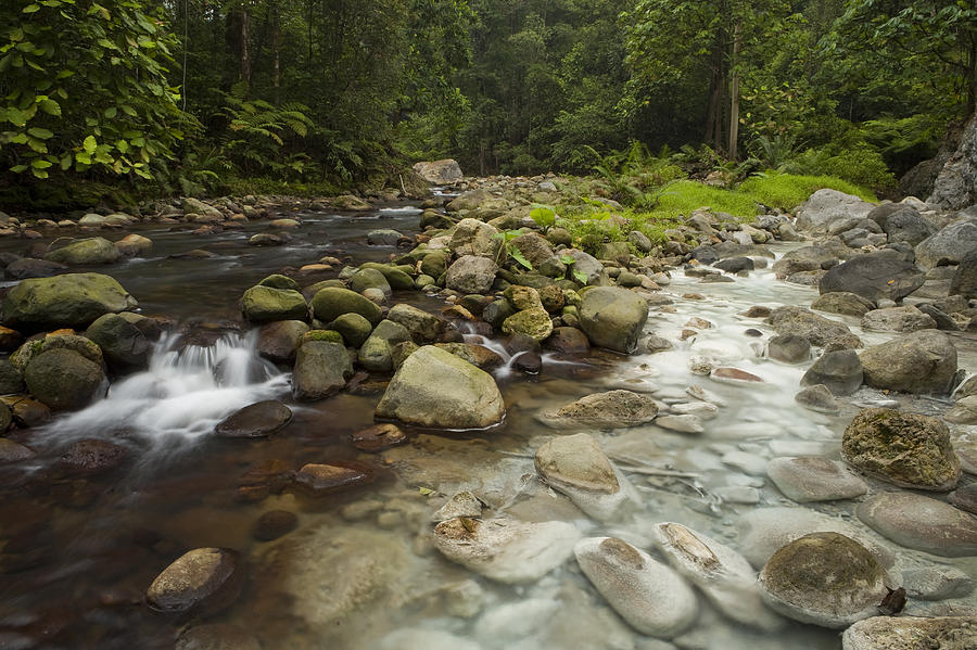 Landscape Photograph - River Joined By Hot Spring Borneo by Sebastian Kennerknecht