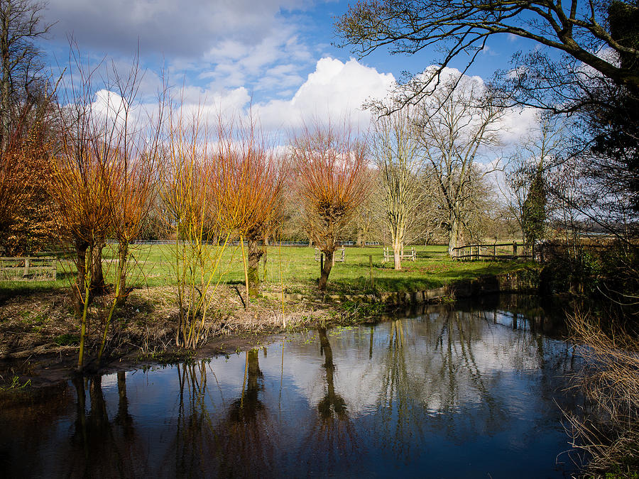 River Kennet Photograph by Mark Llewellyn