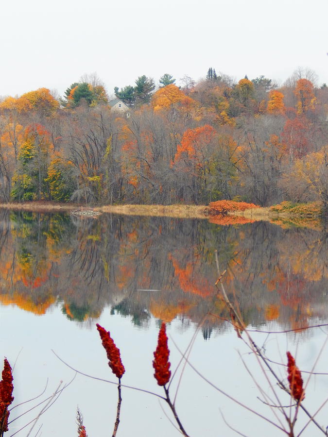 River Mirror Autumn Photograph by Priscilla Batzell Expressionist Art Studio Gallery