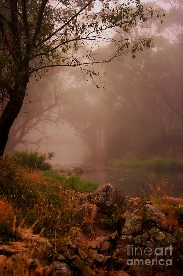 River Mist on a Mystical Morning Digital Art by Blair Stuart