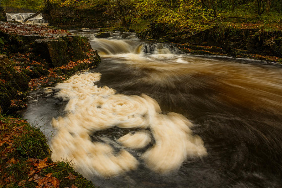 Fall Photograph - River monster by Izzy Standbridge