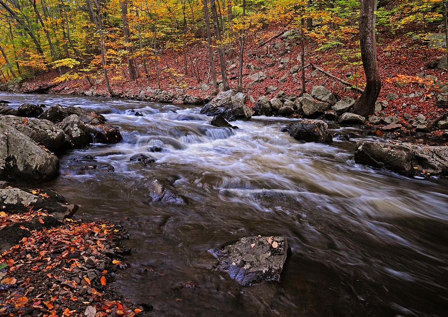 Fall Photograph - River of Color by Dave Mills