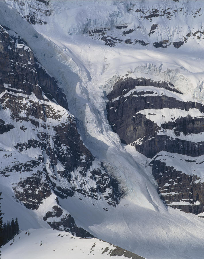 1M3646-River of Ice on Snowbird Glacier Photograph by Ed  Cooper Photography