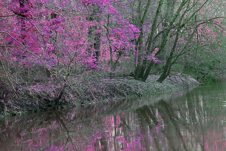 River of Pastel Photograph by Lorna Rose Marie Mills DBA  Lorna Rogers Photography
