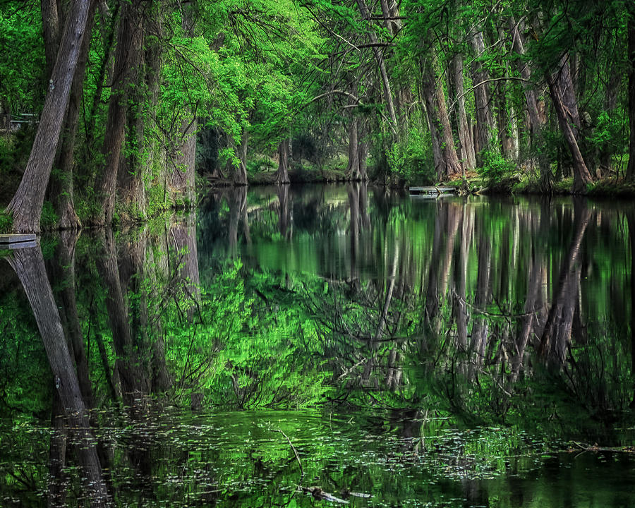 River of Reflections Photograph by Toma Caul