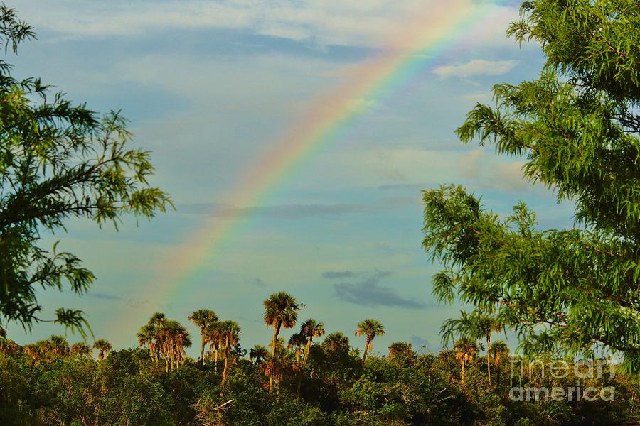 River Park Rainbow Photograph by Lynda Dawson-Youngclaus