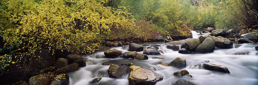 Fall Photograph - River Passing Through A Forest, Inyo by Panoramic Images