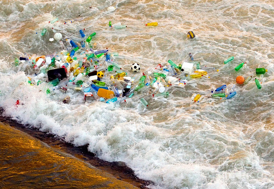 Bottle Photograph - River Pollution by Tim Holt