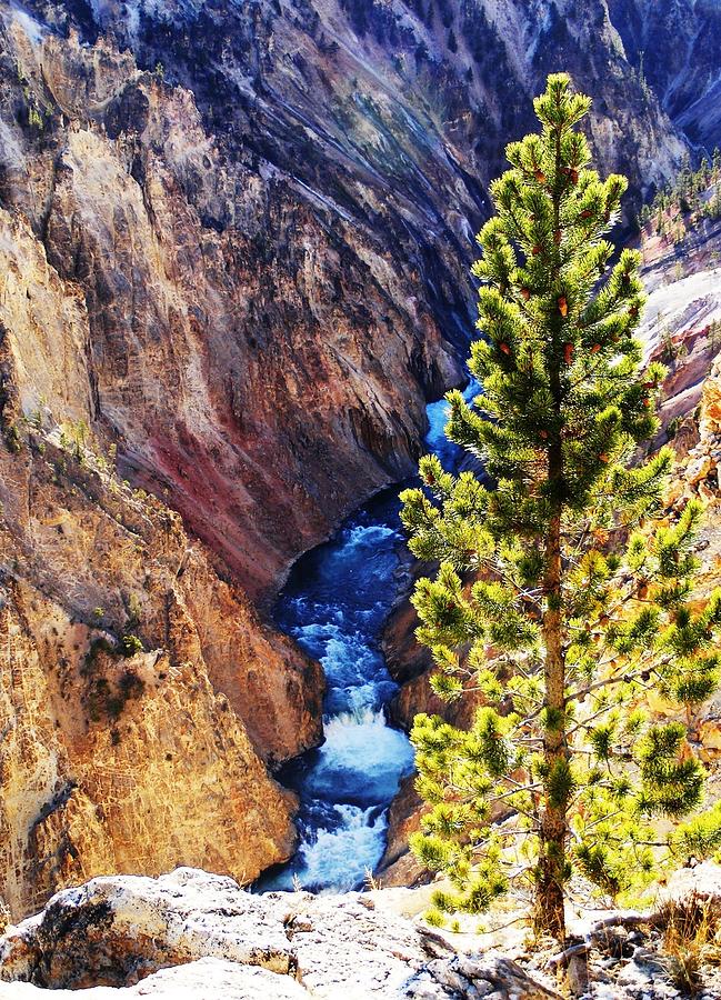 Yellowstone National Park Photograph - River Rapids At Yellowstone National Park by Indigo Wild Photography