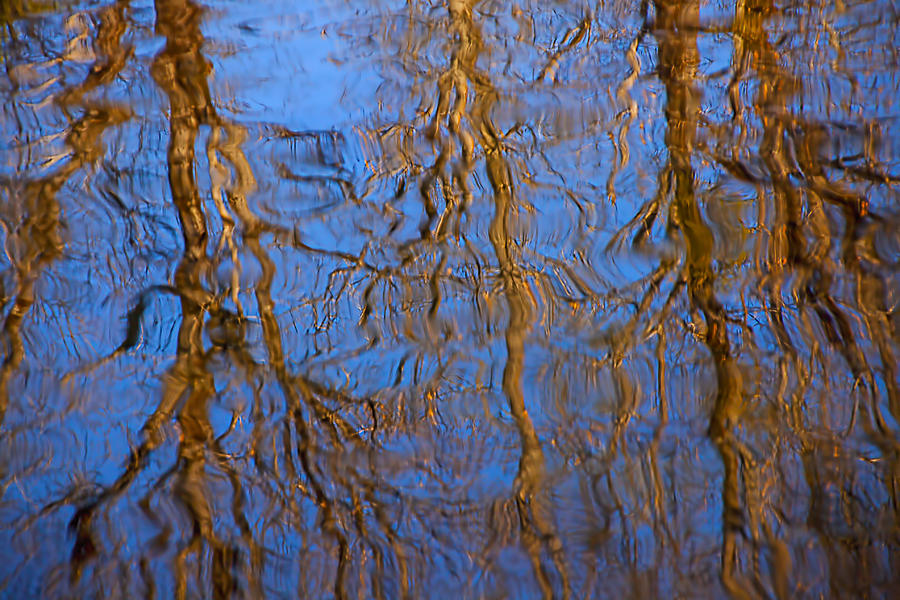 River Reflection Photograph by Garry Gay