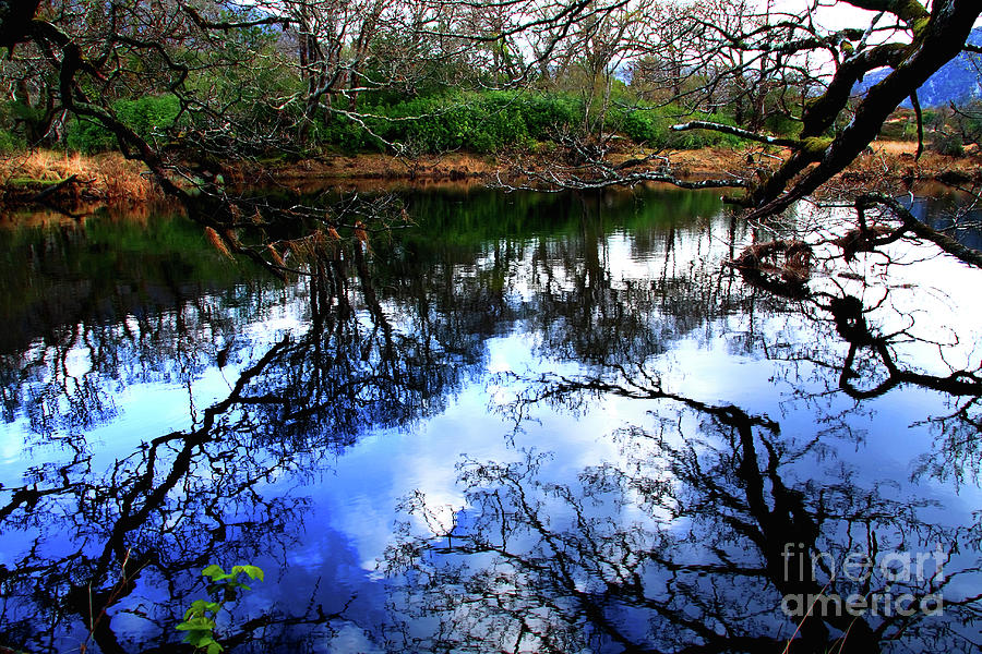 River Reflections Photograph by Aidan Moran