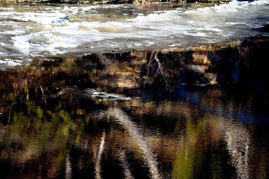 Tree Photograph - River Reflections and Snow by Karen Majkrzak