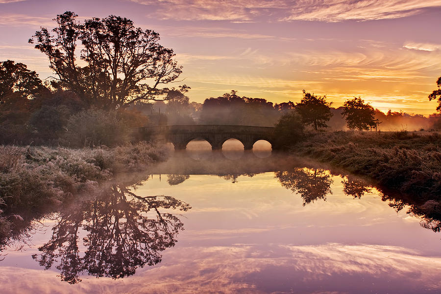 Tree Photograph - River Reflections at Sunrise / Maynooth by Barry O Carroll